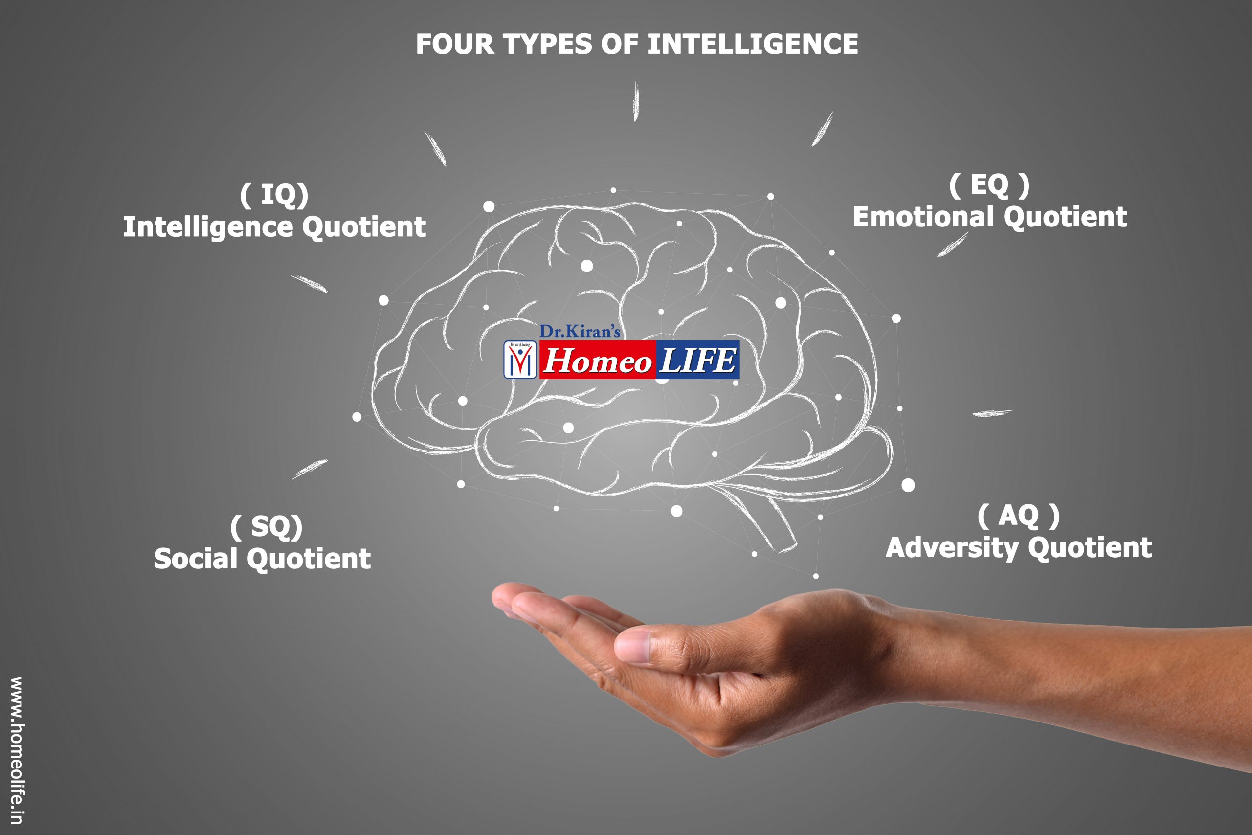 FOUR TYPES OF INTELLIGENCE Homeolife